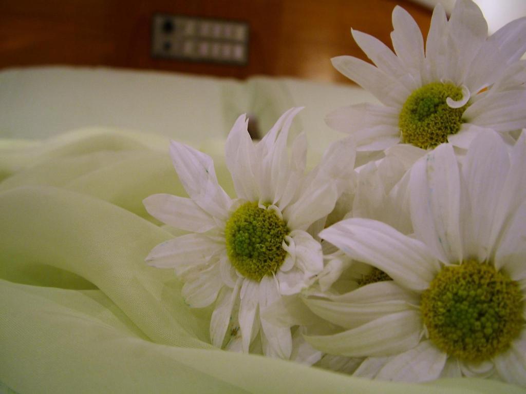 Cristal Executive Hotel ฟรานซิสโกเบลเตรา ห้อง รูปภาพ